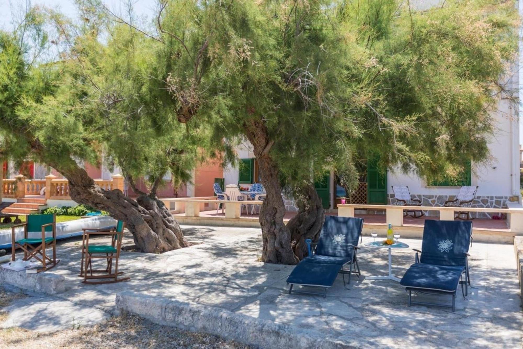 Apartamento Fuer 5 Personen Ca 100 Qm In Alcdia, Mallorca Nordkueste Von Mallorca *